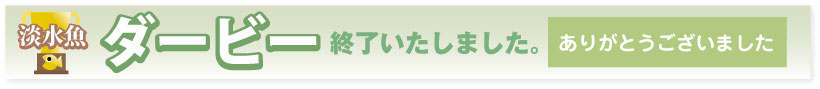 2014淡水魚ダービー終了しました！